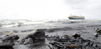 ANPG adota solução tecnológica nacional para monitorar derrame de petróleo