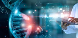 UNESCO vai ajudar Angola na recolha de indicadores sobre Ciência e Tecnologia