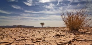 Angola vai ganhar sistema de monitoramento da seca