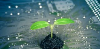 Estónia vai ajudar Angola na implementação da tecnologia verde