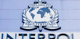 INTERPOL vai formar quadros angolanos em matérias de crimes cibernéticos
