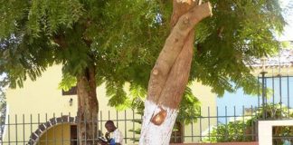 Guiné-Bissau com problemas de internet nas últimas 48 horas