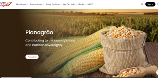 FILDA 2024. AIPEX lança plataforma tecnológica de investimento