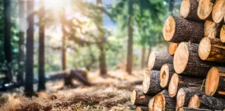 África deve investir em tecnologia para explorar recursos naturais, defende especialista