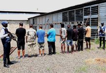 SIC prende grupo chinês por mineração de criptomoedas no Kilamba