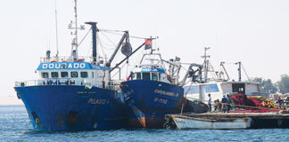 Governo vai investir em tecnologias para fiscalizar frota pesqueira