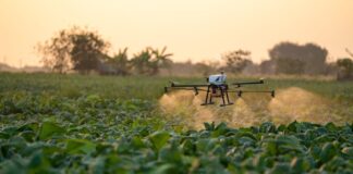 África precisa modernizar e integrar tecnologia na agricultura