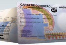 Direcção de Trânsito lança portal digital para emissão de documentos rodoviários