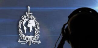 INTERPOL detém 651 suspeitos em 17 países africanos por cibercrime