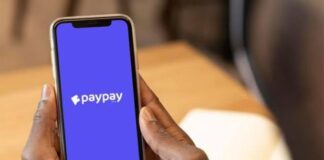 Paypay ultrapassa 1,6 milhões de transferências mensais no KWiK