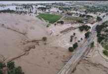 Benguela Ajuda: Plataforma digital criada em poucas horas liga pedidos de socorro a doadores durante crise no Rio Cavaco