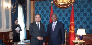 Angola e China reforçam cooperação em inteligência artificial e economia digital