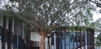 Angola reforça segurança dos dados do Estado com novo Centro de Backup